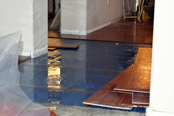 Professional Water Damage technician working in Janesville, WI